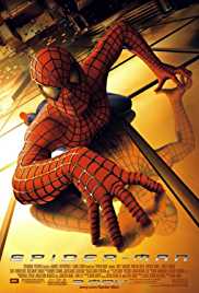 Spider Man 2002 Dubb in Hindi HdRip